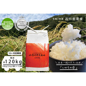 《令和7年産 新米》【12ヶ月定期便】【お米番付優秀賞受賞農家】日本一粒の大きいお米『いのちの壱』白米10kg×12回