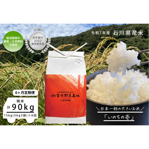 《令和7年産 新米》【6ヶ月定期便】【お米番付優秀賞受賞農家】日本一粒の大きいお米『いのちの壱』白米15kg×6回