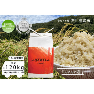 【12ヶ月定期便】【お米番付優秀賞受賞農家】日本一粒の大きいお米『いのちの壱』玄米10kg×12回 25,200円