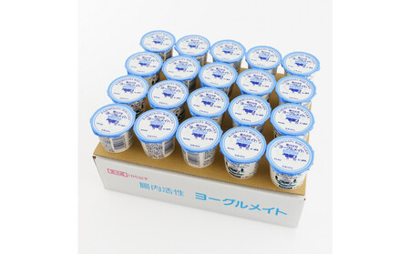 【ホリ乳業】腸内活性 ヨーグルメイト ソフトタイプ 20個入