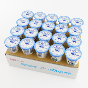 【ホリ乳業】腸内活性 ヨーグルメイト ソフトタイプ 20個入