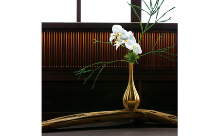 箔磁 耀昴 -はくじ すばる- (永遠色)