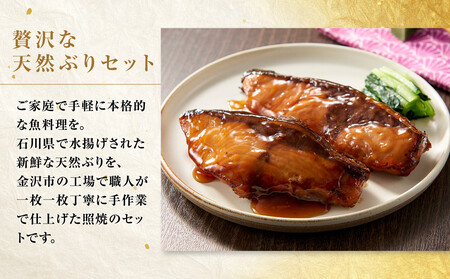 石川県産 天然ぶり照焼 8切セット 肴の匠北珍