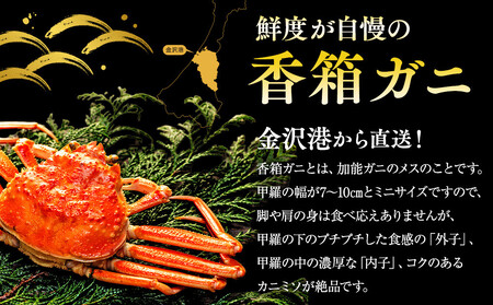 【訳あり】 金沢港より直送! ボイル 香箱ガニ 8杯セット 釜茹で 冷蔵 2025年発送