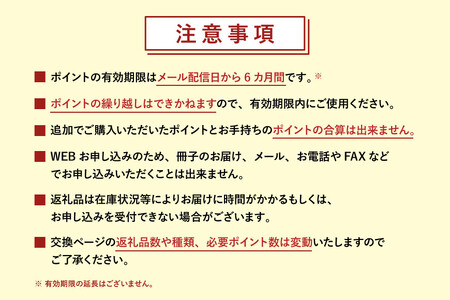 金沢市 あとから選べるWEBカタログギフト（寄附30万円コース）90000ポイント