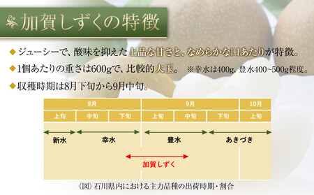 【2026年8月下旬以降発送】【先行予約】加賀しずく梨 3～5個