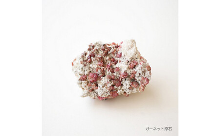 はなもっこ 掛時計 桜鼠　プレーン