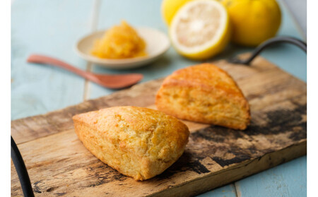 ウフフおすすめスコーン１０個セット