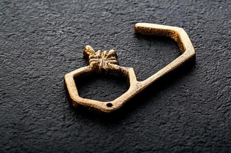 美しく守る、KAMAHACHI 抗菌キー。抗菌・消臭効果をお手元に。(KAMAHACHI) 9,940円