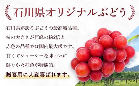 【2025年先行予約】【数量限定】先行予約 JA金沢市 ルビーロマン 金沢市産