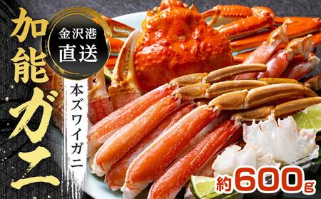 金沢港より直送!ボイル加能ガニ(中)