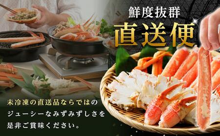 金沢港より直送！ボイル加能ガニ(中) ズワイガニ かに 蟹