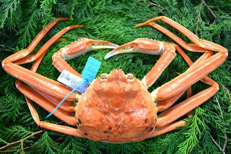 金沢港より直送！ボイル加能ガニ(中) ズワイガニ かに 蟹