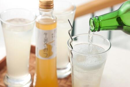 ハニードリンク3本ギフトセット (金澤柚子・生姜・山ぶどう)