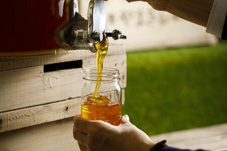 金澤はちみつ さくら 300g