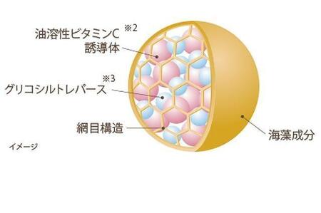 【箔一】金華ゴールド カプセルEX N