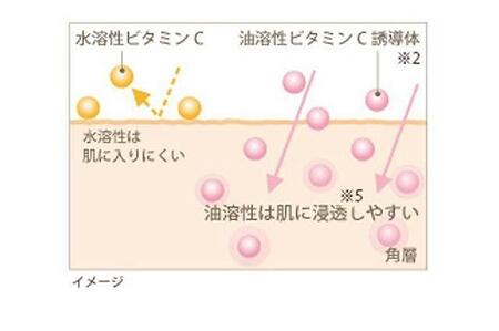 【箔一】金華ゴールド カプセルEX N