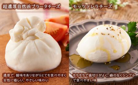 食の研究所 magazzinoのこだわり商品 詰め合わせ5品 冷凍 ブラータチーズ モッツァレラチーズ パテドカンパーニュ パテドジャパン 酒のあて