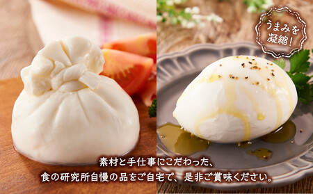 食の研究所 magazzinoのこだわり商品 詰め合わせ4品 ブラータチーズ モッツァレラチーズ 能登豚 パテドカンパーニュ パテドジャパン 酒のあて