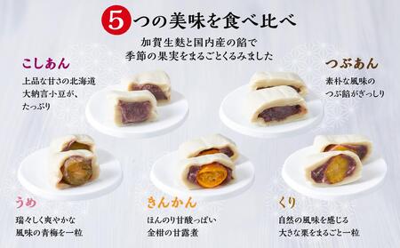 加賀生麩処 茶庵 【麩万寿(ふまんじゅう)10個入 詰め合わせ】