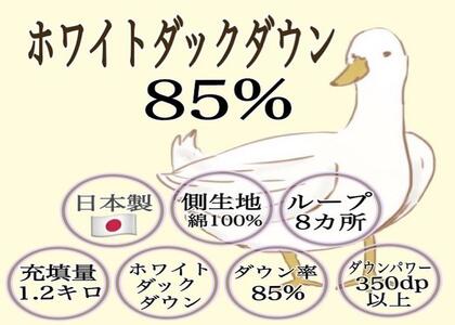 羽毛布団 シングル1枚 【北國寝具】 金沢工場直送