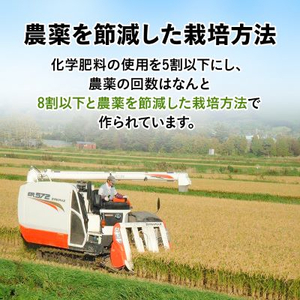 【毎月定期便】特別栽培米 北海道産ゆめぴりか 5kg精米全6回【4007124】