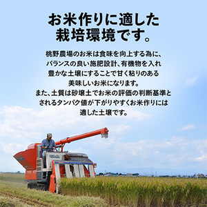 皇室献上米　令和7年産北海道産ゆめぴりか 10kg精米_ 精米 米    ゆめぴりか 米 _【1530224】
