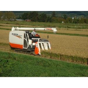 【毎月定期便】特別栽培米 北海道産ゆめぴりか 5kg精米全12回【4072965】