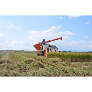 【毎月定期便】皇室献上米 北海道産ゆめぴりか 5kg精米全12回【4072966】