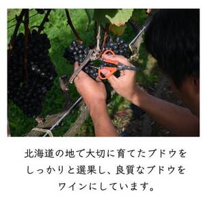 MARO Wines ワイン 赤と白 計2本セット【配送不可地域：離島】【1626784】