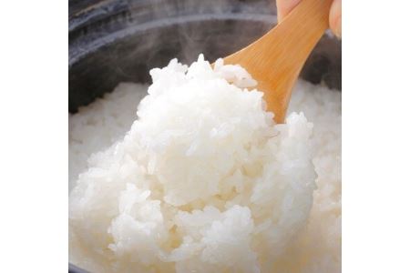 特別栽培米 令和5年産北海道産ゆめぴりか 5kg精米【1206355】
