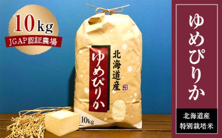 特別栽培米 令和5年産北海道産ゆめぴりか 10kg精米【1206357】