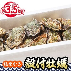 能登牡蠣 殻付 牡蠣 約3.5kg(約30個)専用ナイフ、片手用軍手付　※加熱用【配送不可地域：離島・北海道・沖縄県・東北・中国・四国・九州】【1051972】