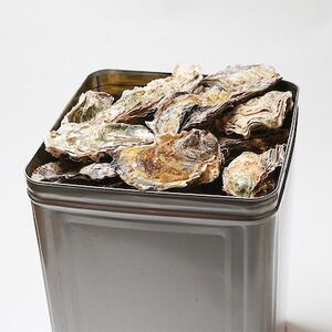 能登牡蠣 殻付 牡蠣 一斗缶/約10kg(約80～100個)専用ナイフ、片手用軍手付　※加熱用【配送不可地域：離島・北海道・沖縄県・東北・中国・四国・九州】【1053617】