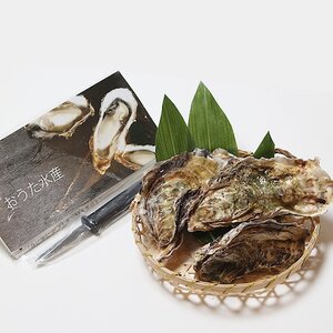 能登牡蠣 殻付 牡蠣 一斗缶/約10kg(約80～100個)専用ナイフ、片手用軍手付　※加熱用【配送不可地域：離島・北海道・沖縄県・東北・中国・四国・九州】【1053617】