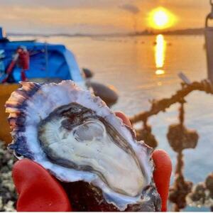 石川県七尾産　能登かき　むき身700g　(約30粒)【配送不可地域：離島・北海道・沖縄県】【1367898】