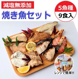 【発送時期が選べる】レンジで簡単　焼き魚セット｜焼魚 海鮮 海鮮 海鮮 鮭 さけ サーモン 鮭 サーモン セット 石川県 七尾市 能登 ※2025年10月上旬～2026年3月下旬頃に順次発送予定