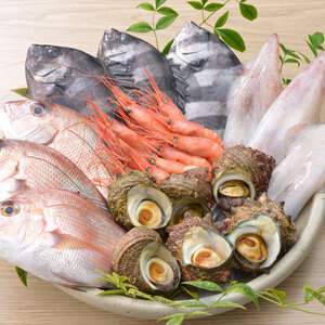 海鮮鮮魚詰め合わせセット 能登の朝どれ「いきいき七尾魚」(2~3人前)|海鮮 海鮮詰め合わせ 海鮮セットぶり 鰤 ブリ えび 海老 エビ えび 下処理済み ※2025年10月上旬頃より順次発送予定