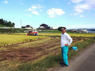 令和7年産 （数量限定）こしひかり 能登の心米（精米10kg/10kg×1袋）｜お米 早期予約 米 米 こしひかり コシヒカリ こしひかり 能登 石川県 七尾市