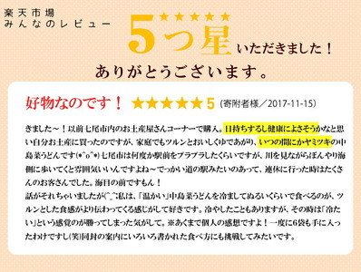 中島菜手延べうどん 180g×6袋入り｜うどん udon ウドン うどん うどん 乾麺 能登 石川県 七尾市