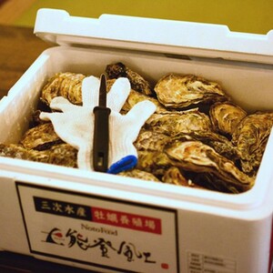 【発送時期が選べる】魚介類 牡蠣 / 能登風土 七尾産「能登かき」殻付き（発泡スチロール梱包(小)）◇   | 訳あり 生活応援価格 ご家庭用 石川県 七尾市 ※必ずよく加熱してお召し上がりください ※2025年11月下旬～2026年5月上旬頃に順次発送予定