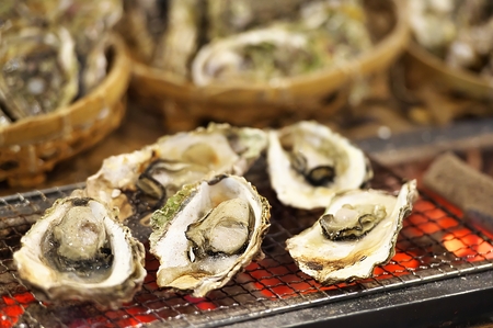 【発送時期が選べる】魚介類 牡蠣 / 能登風土 七尾産「能登かき」殻付き（一斗缶）◇  | 訳あり 生活応援価格 ご家庭用 石川県 七尾市 ※必ずよく加熱してお召し上がりください  ※2025年11月下旬～2026年5月上旬頃に順次発送予定