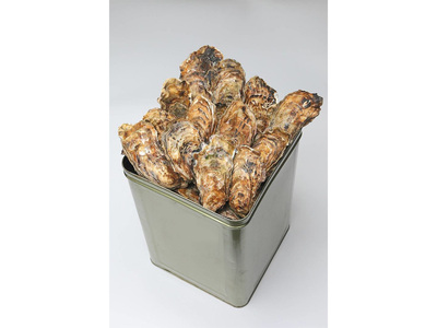 【発送時期が選べる】魚介類 牡蠣 / 山口水産の能登かき / 殻付き一斗缶[殻付き約70～80個]◇   | 訳あり 生活応援価格 ご家庭用 石川県 七尾市  ※2026年1月中旬～5月中旬頃に順次発送予定
