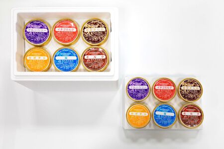 スイーツ　/チェルキオ 能登生乳 ジェラート セット 12個入り（ミルク・塩・ブルーベリー・イチゴミルク・キナコ・カボチャ 各2個）