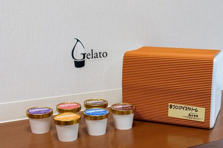 スイーツ　/チェルキオ 能登生乳 ジェラート セット 12個入り（ミルク・塩・ブルーベリー・イチゴミルク・キナコ・カボチャ 各2個）