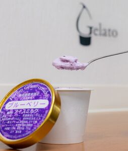 スイーツ　/チェルキオ 能登生乳 ジェラート セット 12個入り（ミルク・塩・ブルーベリー・イチゴミルク・キナコ・カボチャ 各2個）