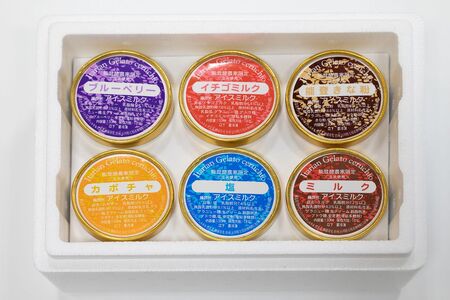 スイーツ　/チェルキオ 能登生乳 ジェラート セット 6個入り（ミルク・塩・ブルーベリー・イチゴミルク・キナコ・カボチャ　各1個）
