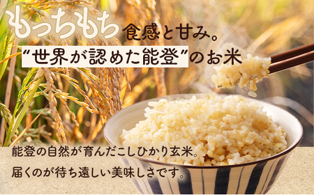 【発送時期が選べる】令和7年産 石川県能登産 こしひかり玄米10kg（5kg×2個）