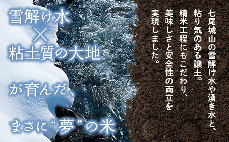 【発送時期が選べる】【新米】令和7年度産米 能登産 コシヒカリ 能登夢米 精米 6kg(3kg×2袋) | こめ 国産 訳あり 生活応援価格 ご家庭用 石川県 七尾市