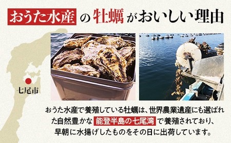 【能登半島地震復興支援】魚介類 牡蠣　/ 能登かき　殻付牡蠣 半缶/約5kg（約40～50個） 専用ナイフ 片手用軍手付 | 世界農業遺産「能登の里山里海」魚介類 牡蠣 訳あり 生活応援価格 ご家庭用 石川県 七尾市 ※要加熱 ※2026年1月下旬～5月下旬頃に順次発送予定 